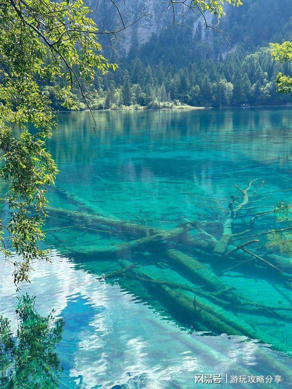 点必去十大景点 小白必备的超全攻略PG麻将胡了四川3日游攻略 成都景(图2)